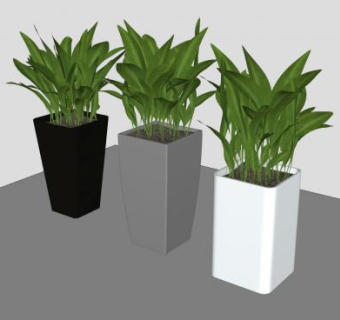 简约色盆栽植物SU模型下载_sketchup草图大师SKP模型