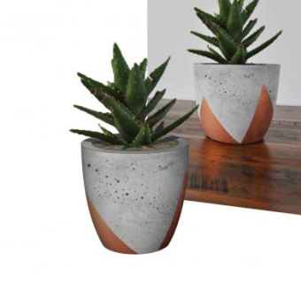 现代盆景SU模型下载_sketchup草图大师SKP模型