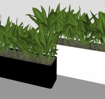 黑白花箱植株种植SU模型下载_sketchup草图大师SKP模型