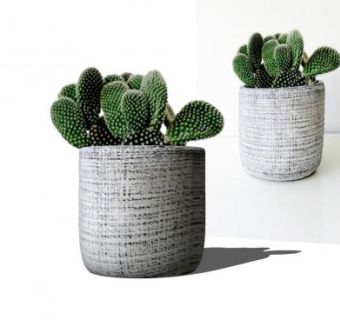 简约仙人掌花盆SU模型下载_sketchup草图大师SKP模型