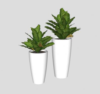 白陶瓷观叶盆栽SU模型下载_sketchup草图大师SKP模型