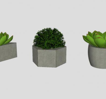 小型多肉盆栽SU模型下载_sketchup草图大师SKP模型