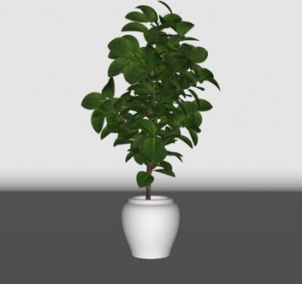 白陶瓷观赏树盆栽SU模型下载_sketchup草图大师SKP模型