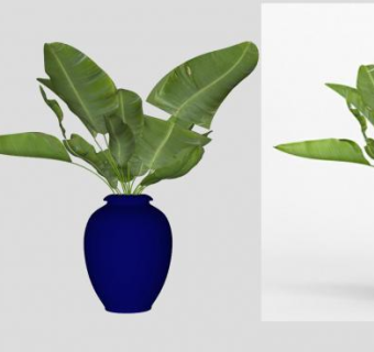 蓝色花瓶叶芋植物SU模型下载_sketchup草图大师SKP模型