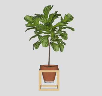 木花架观赏树盆栽SU模型下载_sketchup草图大师SKP模型