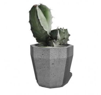 简约石造仙人掌盆栽SU模型下载_sketchup草图大师SKP模型