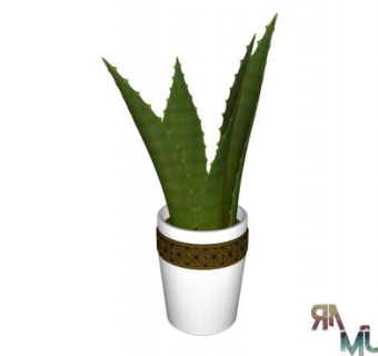 芦荟陶罐SU模型下载_sketchup草图大师SKP模型