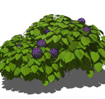八仙花绿植SU模型下载_sketchup草图大师SKP模型