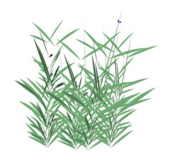 紫娇花绿植SU模型下载_sketchup草图大师SKP模型