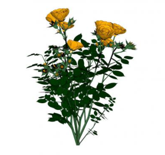月季绿植SU模型下载_sketchup草图大师SKP模型