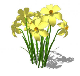 水仙绿植SU模型下载_sketchup草图大师SKP模型