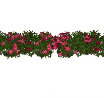 长春花绿植SU模型下载_sketchup草图大师SKP模型