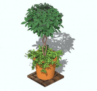 榕属植物盆栽SU模型下载_sketchup草图大师SKP模型