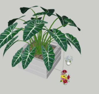 合果芋花箱盆栽SU模型下载_sketchup草图大师SKP模型
