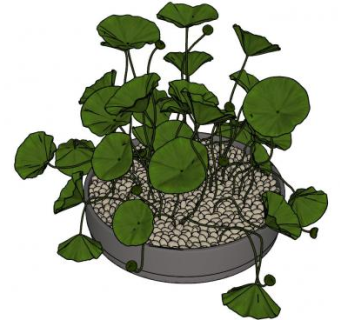 荷叶盆景SU模型下载_sketchup草图大师SKP模型