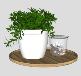 陶罐盆栽托盘摆件SU模型下载_sketchup草图大师SKP模型