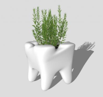 牙状盆栽SU模型下载_sketchup草图大师SKP模型