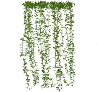 绿藤su模型下载_sketchup草图大师SKP模型