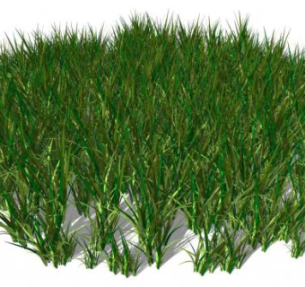 景观草su模型下载_sketchup草图大师SKP模型