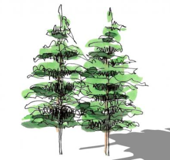 手绘植物素材设计合集su模型下载_sketchup草图大师SKP模型