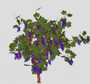 爬藤葡萄su模型下载_sketchup草图大师SKP模型