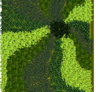 植物背景墙su模型下载_sketchup草图大师SKP模型