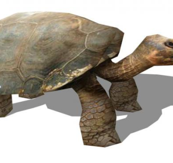 龟su模型下载_sketchup草图大师SKP模型