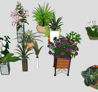 盆栽花su模型下载_sketchup草图大师SKP模型