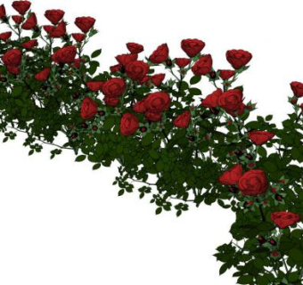 玫瑰花海su模型下载_sketchup草图大师SKP模型