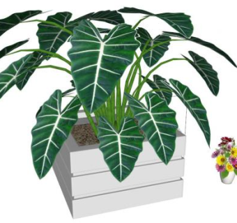 合果芋su模型下载_sketchup草图大师SKP模型