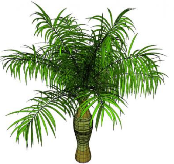 棕榈叶SU模型下载_sketchup草图大师SKP模型