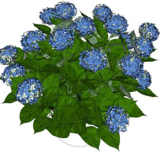 景观花su模型下载_sketchup草图大师SKP模型