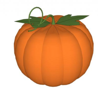 带藤南瓜SU模型下载_sketchup草图大师SKP模型