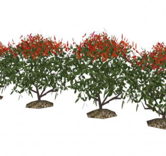 灌木花卉su模型下载_sketchup草图大师SKP模型