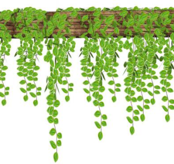 墙上植物su模型下载_sketchup草图大师SKP模型