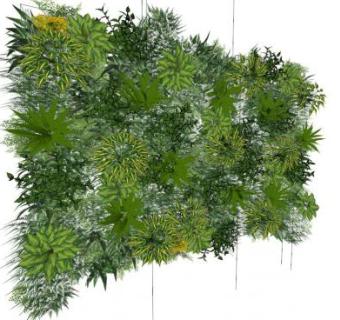2维绿植SU模型下载_sketchup草图大师SKP模型