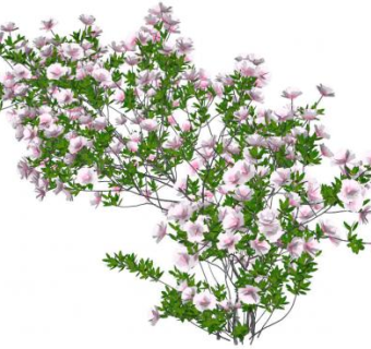 迎春花的su模型下载_sketchup草图大师SKP模型