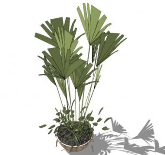 小盆栽su模型下载_sketchup草图大师SKP模型