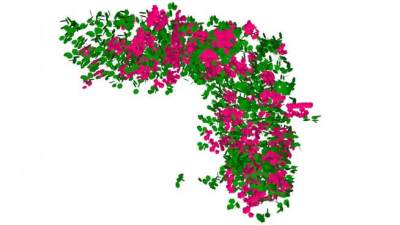 开花的爬藤su模型下载_sketchup草图大师SKP模型
