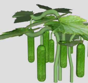 爬藤蔬果su模型下载_sketchup草图大师SKP模型