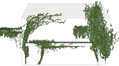 墙壁藤蔓su模型下载_sketchup草图大师SKP模型