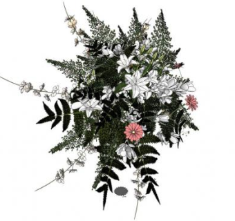 植物花卉su模型下载_sketchup草图大师SKP模型