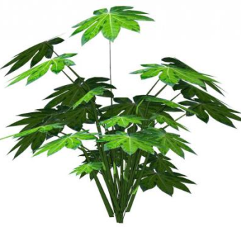 八角金盘su模型下载_sketchup草图大师SKP模型