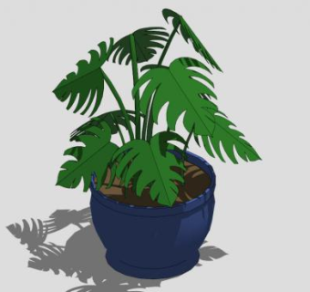 室内大盆栽su模型下载_sketchup草图大师SKP模型