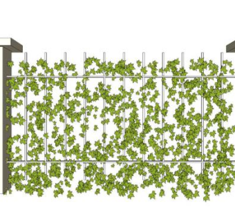 绿化墙面攀藤墙面su模型下载_sketchup草图大师SKP模型