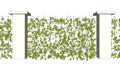 绿化墙面攀藤墙面su模型下载_sketchup草图大师SKP模型