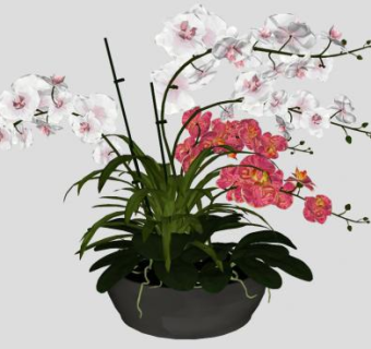 花卉盆景su模型下载_sketchup草图大师SKP模型
