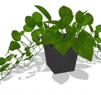 室内盆栽花卉su模型下载_sketchup草图大师SKP模型