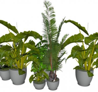 绿植盆景su模型下载_sketchup草图大师SKP模型