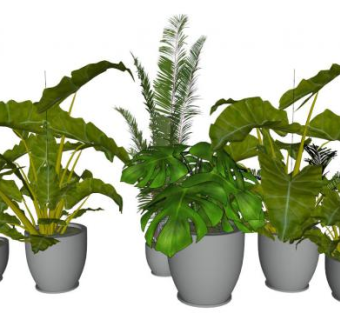 绿植盆栽su模型下载_sketchup草图大师SKP模型